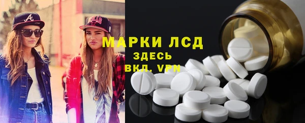 трава Аркадак