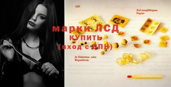 трава Аркадак