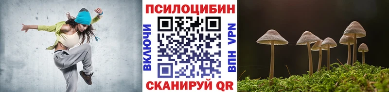 купить наркотик  Кондрово  даркнет как зайти  Галлюциногенные грибы Magic Shrooms 