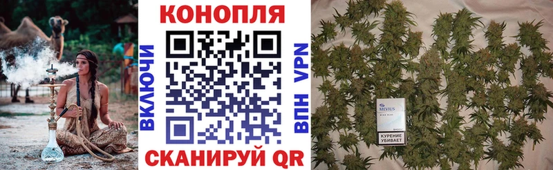 Каннабис Amnesia  Кондрово 
